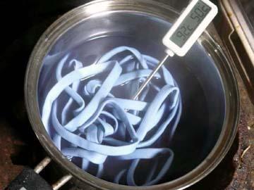 ���ł��ˍĂ�