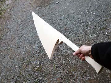 ���O�ŎB�e